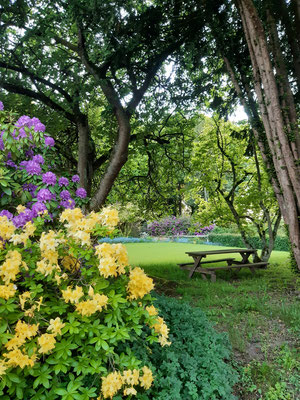 Le Jardin Floral de Digeon