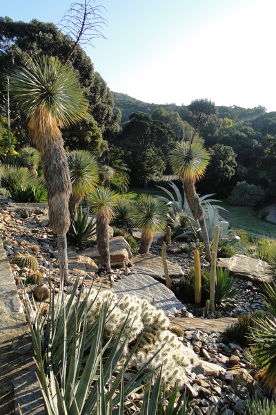 Domaine du Rayol, Le Jardin des Méditerranées