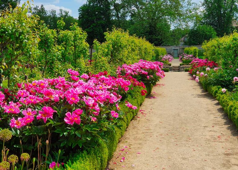 Le potager fleuri du château de Saint-Jean de Beauregard