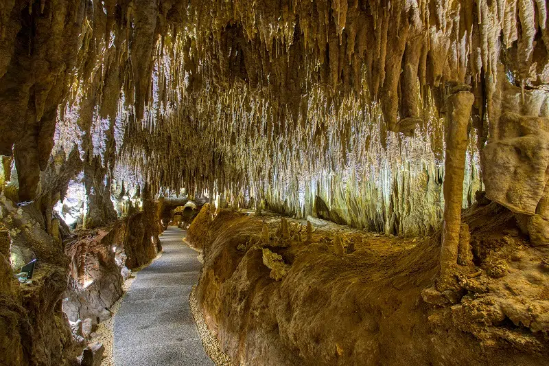 Grotte de Domme