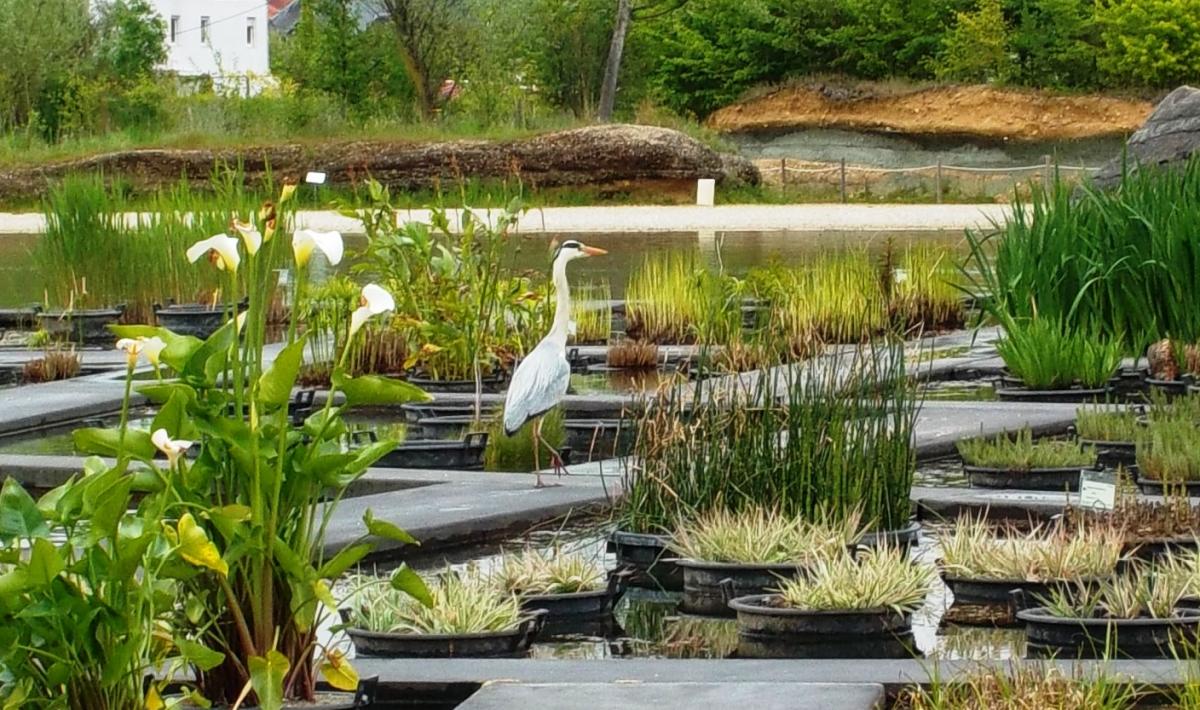 Jardin botanique de Bordeaux