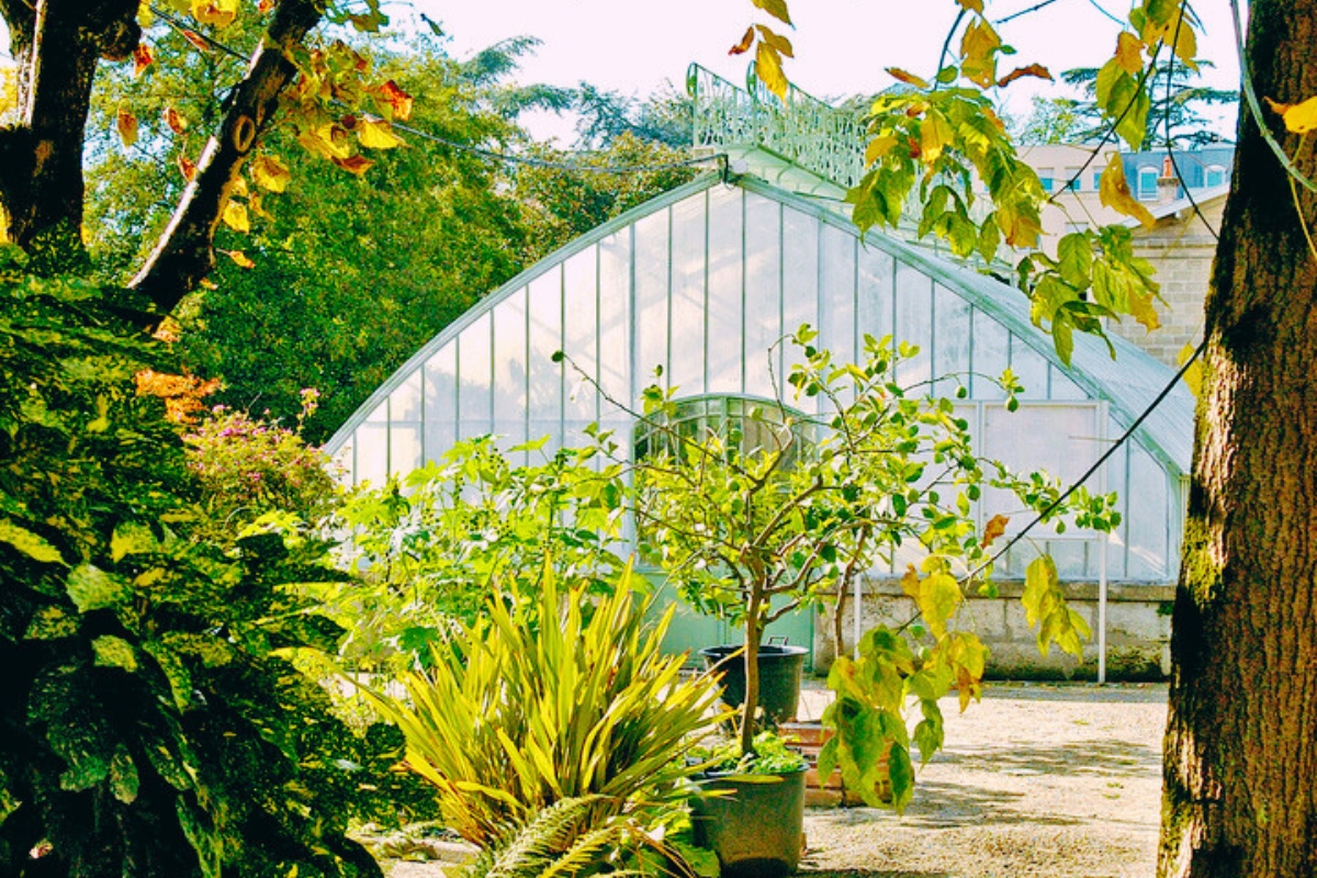 Jardin botanique de Talence