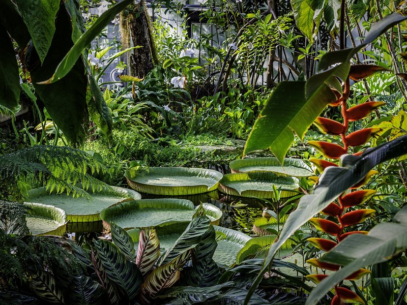 Jardin botanique Jean-Marie Pelt