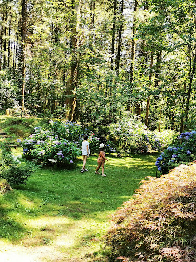 Parc à l'anglaise de la Cude