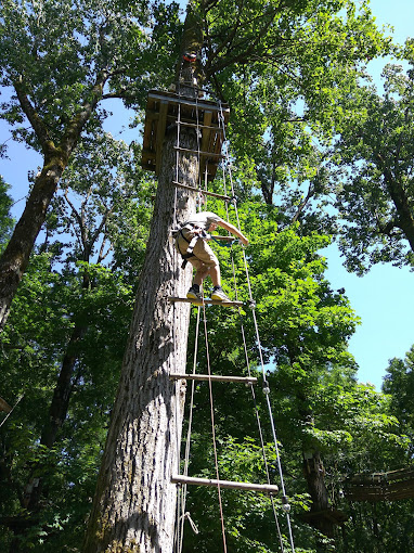 Aravis Parc d'Aventures