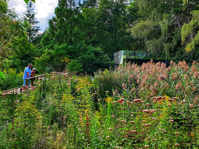 Jardin botanique de Launay