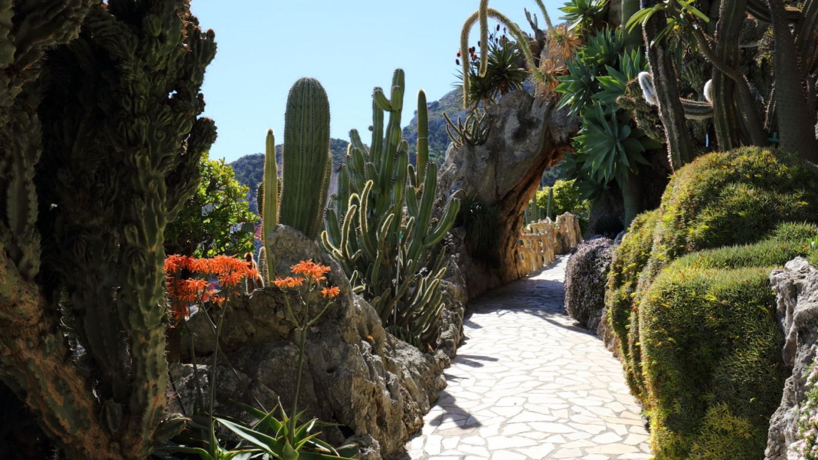 Jardin exotique de Monaco