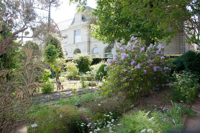 Jardin botanique du Département Pharmacie d'Angers