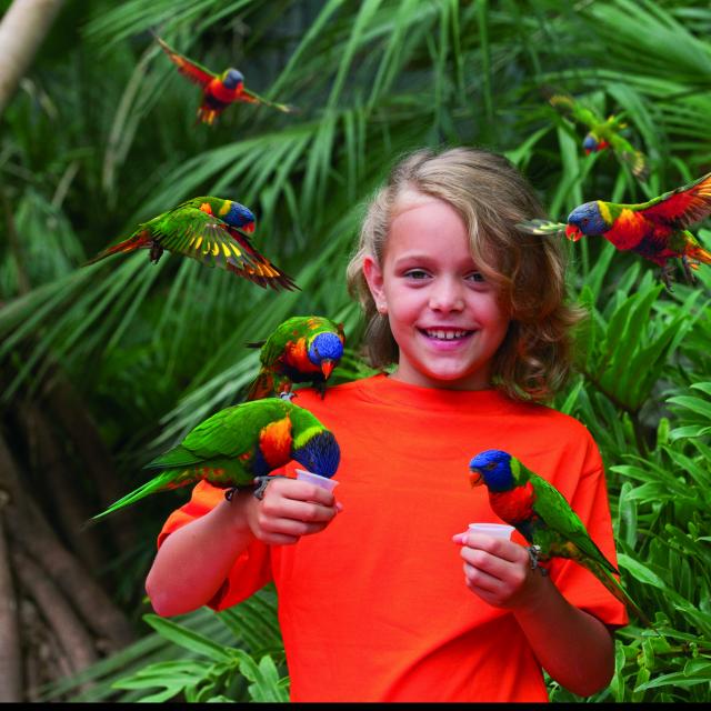 Parc des Oiseaux