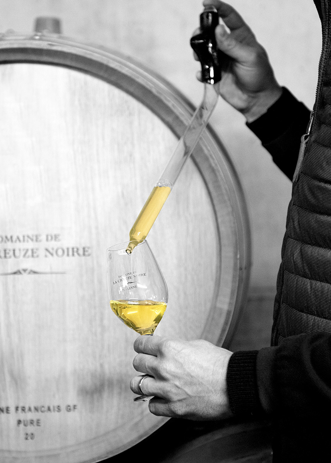 Domaine de la Creuze Noire