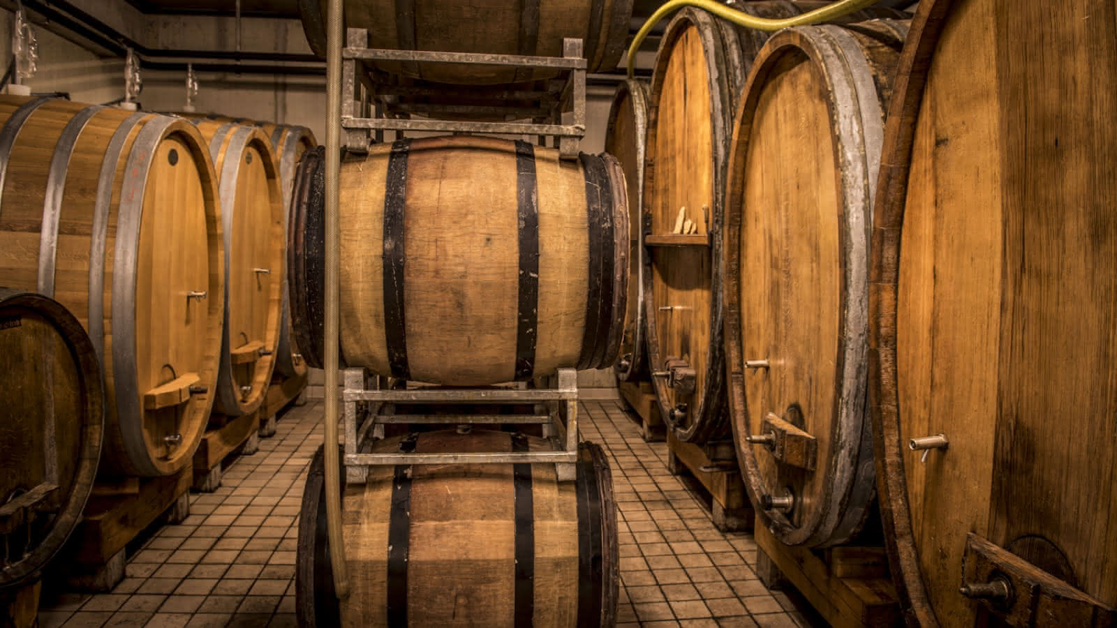 Domaine Bott Geyl
