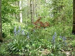 Arboretum du Chêne-Vert