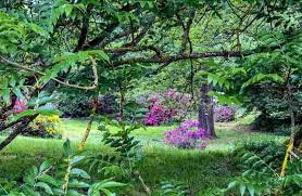 Arboretum Versailles-Chèvreloup