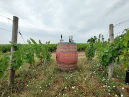 Domaine les Roches Bleues