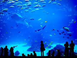 Grand aquarium Saint-Malo