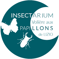 Insectarium de Lizio