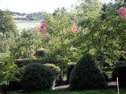 Jardin botanique d'Alkinoos