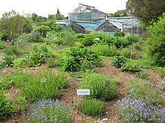 Jardin botanique de l'Université de Besançon