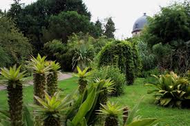 Jardin botanique de l'Université de Strasbourg