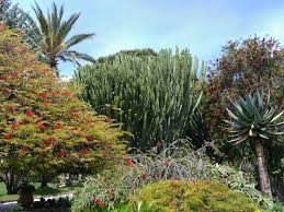 Jardin botanique de la Ville de Nice