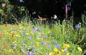 Jardin botanique de Sains-du-Nord