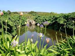 Jardin botanique de Vauville