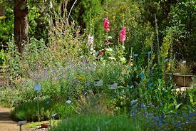 Jardin botanique Henri Gaussen