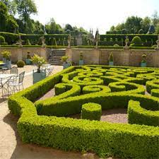 Jardin des plantes de Caen