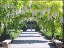 Jardin du musée des impressionnismes Giverny