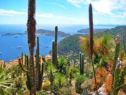 Jardin exotique d'Eze