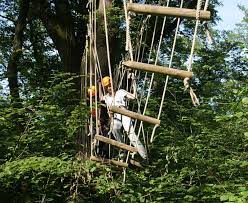 La Forêt des Vert'tiges