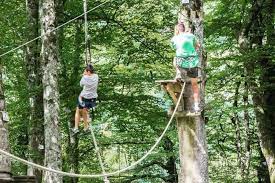 La Forêt Suspendue