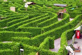 Labyrinthe Géant des Monts de Guéret