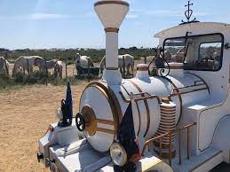 Le Petit Train Camarguais