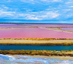 Le salin d'Aigues Mortes