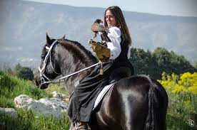 Les Aigles du Verdon