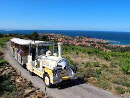 Les petits Trains Touristiques