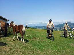 Loisirs Pays Basque