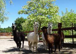 Parc animalier de Lussas