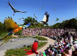 Parc des Oiseaux