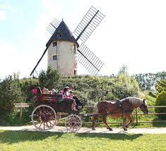 Parc du Bournat