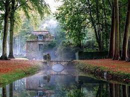 Parc et jardin du Château de Courances