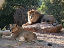 PARC ZOOLOGIQUE DE FREJUS