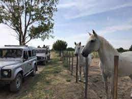 Safari Le Gitan