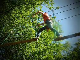 Saumur Forest Aventures