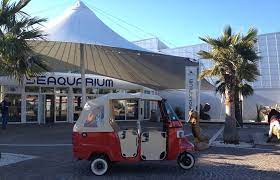 Tuk Tuk Camargue