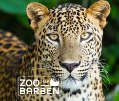 Zoo Barben